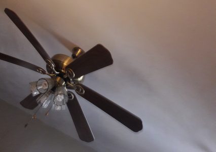 Lisa tremback’s blog